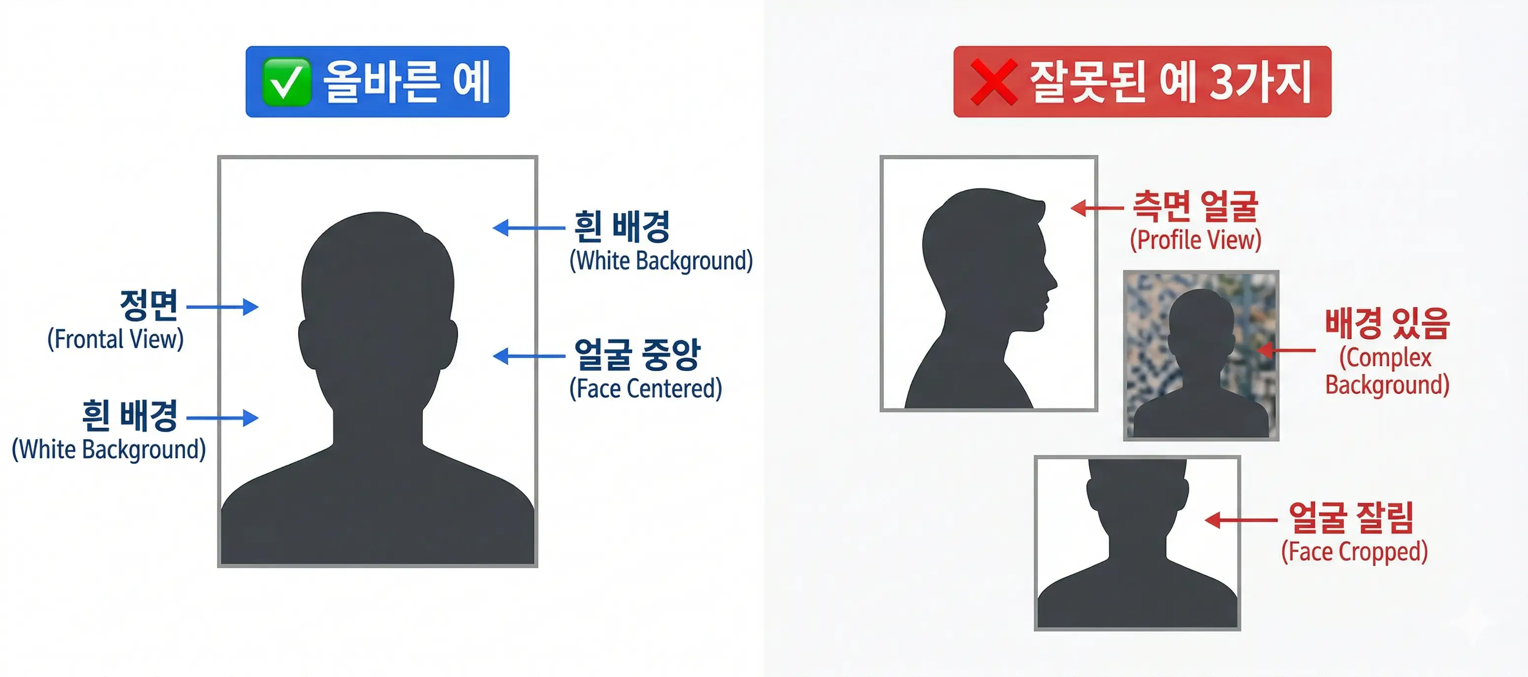 여권사진 올바른 예시와 잘못된 예시 비교 — 배경, 얼굴 위치, 크기 기준